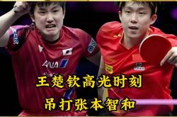 爱游戏体育-包含法国乒乓球队险胜德国乒乓球队，张本智和爆发神勇的词条