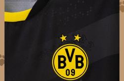 爱游戏下载-多特蒙德客场险胜，延续不败继续保持稳定战绩的简单介绍