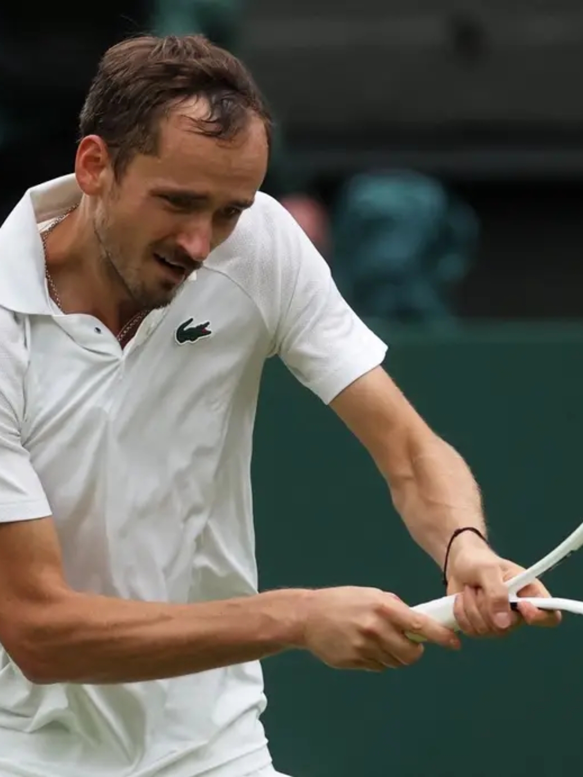 澳网逆转温网,梅德韦杰夫高光表现的简单介绍 澳网逆转温网,梅德韦杰夫高光表现的简单介绍