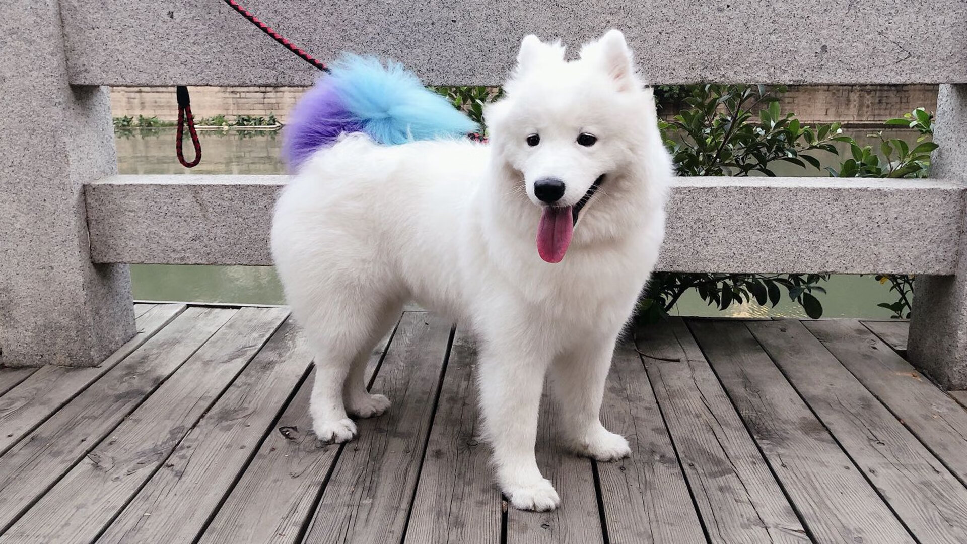 新王加冕,弗拉霍维奇接管2026,那不勒斯式胜利击碎乌拉圭铁壁